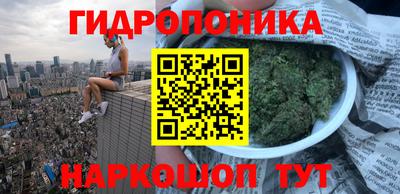 гидропоника Кунгур